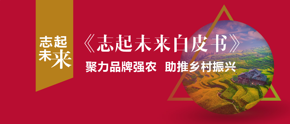 蔚州田園綜合體項目服務手記 ——深度剖析中國首個童年文明主題田園綜合體